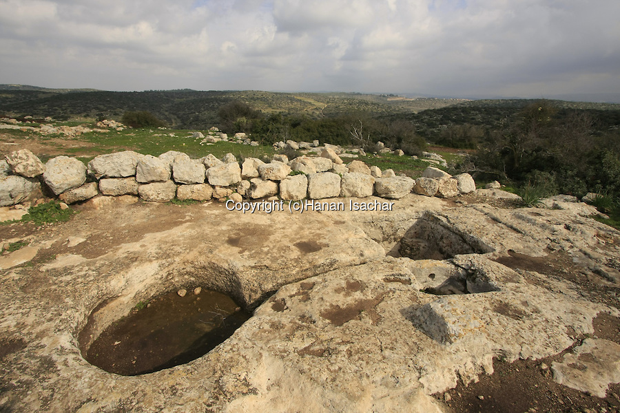 上图:今日以色列的古代压酒池遗迹。酒醡分上下两层酒池,中间有一条通管相连。酒池可能是一块凿空的石头,也可能用砖石砌成。葡萄放在位置稍高的上层酒池中,工人用脚踹葡萄,汁液透过通管流到下层的酒池中。