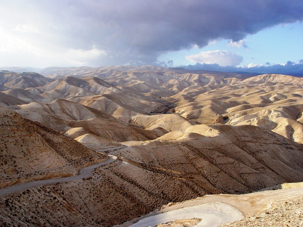 上图:犹大旷野位于犹大山地和约旦河谷之间。从橄榄山东面不远处开始就是绵延的山坡,草木稀疏,人迹罕至,从海拔900多米的犹大山地向东一直下降到海平面以下400多米的死海,南北约长100公里,东西宽约20-25公里。犹大旷野的地势由西至东下降约1300米,开始是许多平滑光秃的白垩山头连绵起伏,溪谷与沟壑纵横交错,靠近死海时逐渐变成陡峭的峡谷,到死海边成为嶙峋的悬崖。犹大旷野位于中央山地分水岭以东,地中海的雨云由西吹来,大部分雨水落在分水岭西面,分水岭东面的犹大旷野非常干旱,又有干燥的东风吹刮,雨季才偶尔有阵雨。在雨季的几个星期,干涸的旱溪(Wadi)中会激流奔涌,旷野中会长出少许植物。 大卫曾在犹大旷野躲避扫罗和押沙龙的追杀(撒上二十三14,24;二十四1;撒下十五23),他将犹大旷野描述为「干旱疲乏无水之地」(诗六十三1)。每年赎罪日,「归于阿撒泻勒的山羊」从圣殿被放到犹大旷野(利十六10)。以西结在异象中看见一条溪流从圣殿流出,经过这片旷野,灌溉两岸繁茂的树木(结四十七1-10)。施洗约翰在死海北面的那片犹大旷野开始传道(太三1-6),主耶稣很可能也在犹大旷野受魔鬼引诱(太四1)。
