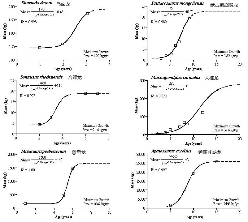 上图:6种不同大小恐龙的快速成长周期。古生物学家研究恐龙骨头里的生长轮后发现,恐龙的成长过程中,有一个快速生长的青春期。比如:巨大的秀丽迷惑龙(Apatosaurus Excelsus)的快速生长期大约从5岁开始,此时的迷惑龙不到1吨重,但在快速生长期里,每年体重会增加5吨多,直到12–13岁时才渐趋平缓,重达25吨左右。大型恐龙在进入快速生长期之前都很小,带进方舟完全没有问题。它们出方舟后之所以能长得如此巨大,是因为爬行动物的身体可以持续生长,直到死亡为止,而哺乳动物到达成年期就停止生长了。
