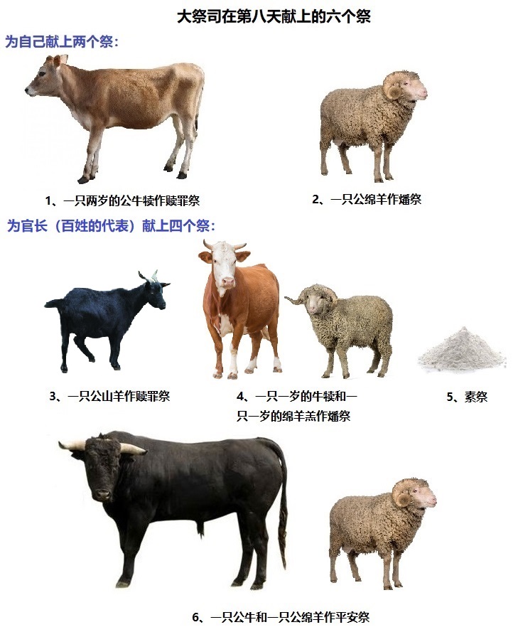 上图:大祭司在第八天第一次事奉,按着顺序献上的6个祭,表明了祭司事奉当有的态度,也表明了神的百姓所应活出的生活。