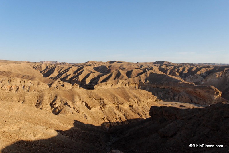 上图:巴兰的旷野是一片海拔1200-1600米之间的高原丘陵。