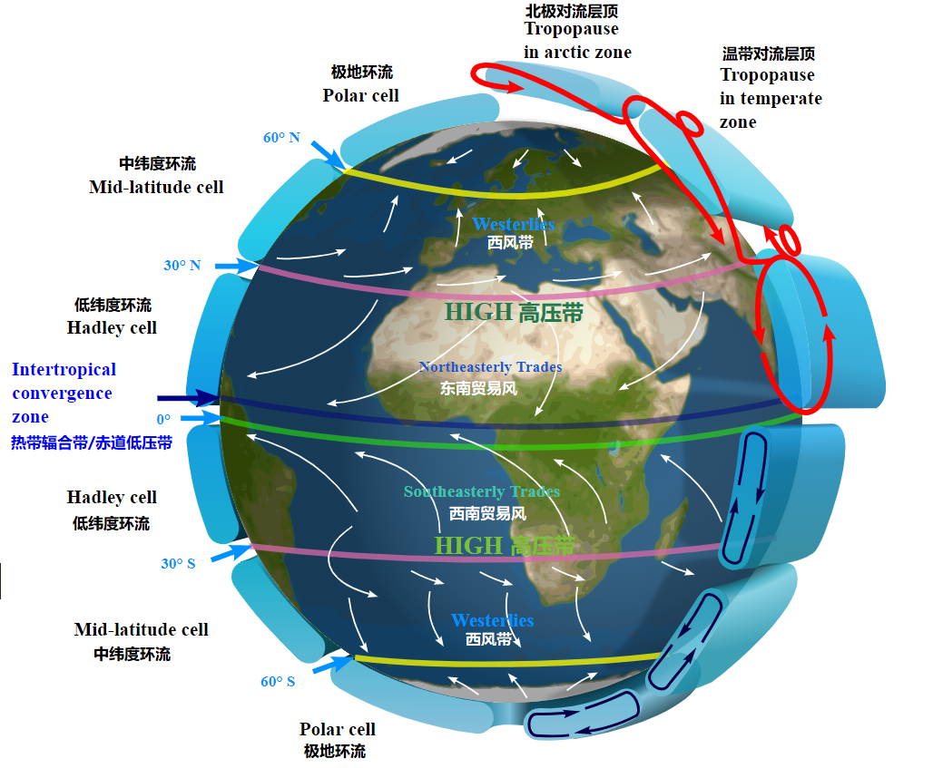 上图:现代科学家发现的地球的大气环流(Atmospheric circulation)模型,证明「风往南刮,又向北转,不住地旋转,而且返回转行原道」(传一6)。大气环流是地球表面大规模的空气流动,重新分配了地球上的热量和水汽,地球上的风带和天气现象主要由极地环流(Polar cell)、中纬度环流(Ferrel cell)和低纬度环流(Hadley cell)三个大环流相互作用而产生。