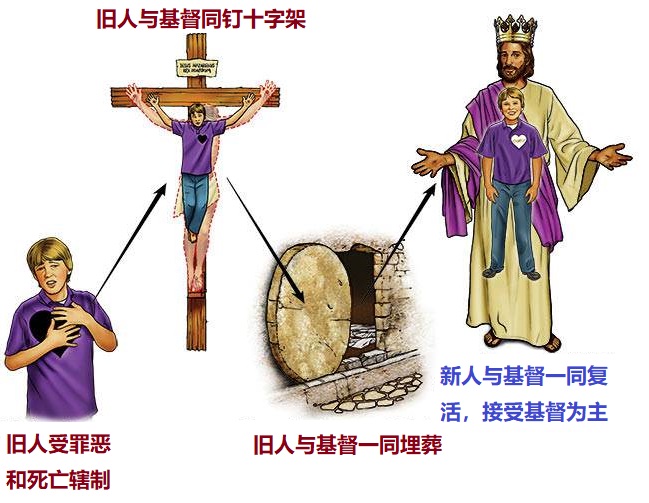 上图:我们的旧人和基督同钉十字架,使罪身灭绝,叫我们不再作罪的奴仆。新人与基督一同复活,接受基督为主。从此活着的不再是我,乃是基督在我里面活着。