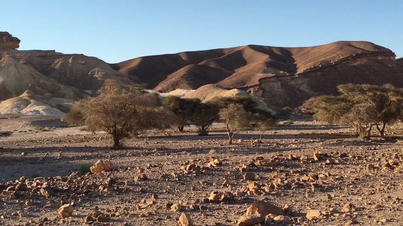 上图:巴兰的旷野。