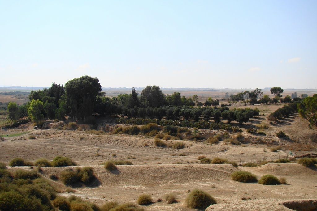 上图:洗革拉遗址。