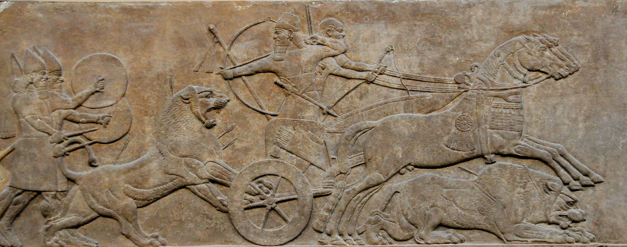 上图:亚述王亚斯那巴二世(Ashurbanipal II,主前669-627年在位)猎狮的浮雕,现藏于大英博物馆。