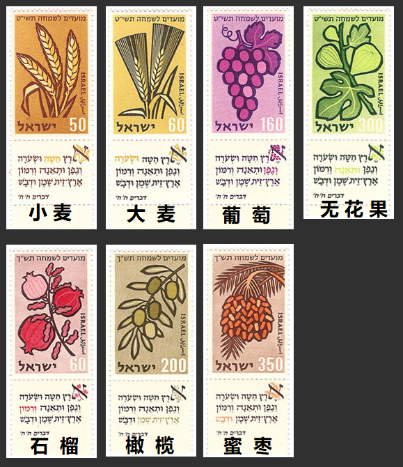 上图:以色列1958年发行的邮票,上面画着七粮(???? ???????, Shiv'at HaMinim)与有关的圣经经文。