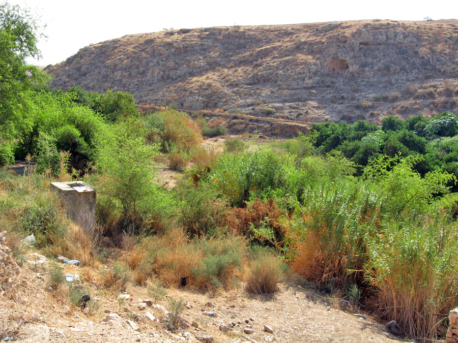 上图:发拉河(阿拉伯名Wadi al-Far'a)或得撒河(希伯来名Nahal Tirzah) ,是约旦河西岸最大的河流,向东流入约旦河。