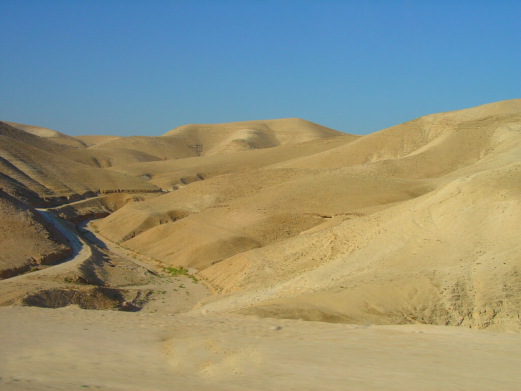 上图:犹大旷野位于犹大山地和约旦河谷之间。从橄榄山东面不远处开始就是绵延的山坡,草木稀疏,人迹罕至,从海拔900多米的犹大山地向东一直下降到海平面以下400多米的死海,南北约长100公里,东西宽约20-25公里。犹大旷野的地势由西至东下降约1300米,开始是许多平滑光秃的白垩山头连绵起伏,溪谷与沟壑纵横交错,靠近死海时逐渐变成陡峭的峡谷,到死海边成为嶙峋的悬崖。犹大旷野位于中央山地分水岭以东,地中海的雨云由西吹来,大部份雨水落在分水岭西面,分水岭东面的犹大旷野非常干旱,又有干燥的东风吹刮,雨季才偶尔有阵雨。在雨季的几个星期,干涸的旱溪(Wadi)中会激流奔涌,旷野中会长出少许植物。